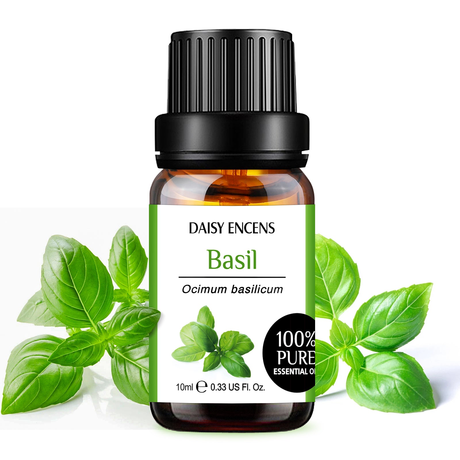 Basil Pure Essential Oil 10ml