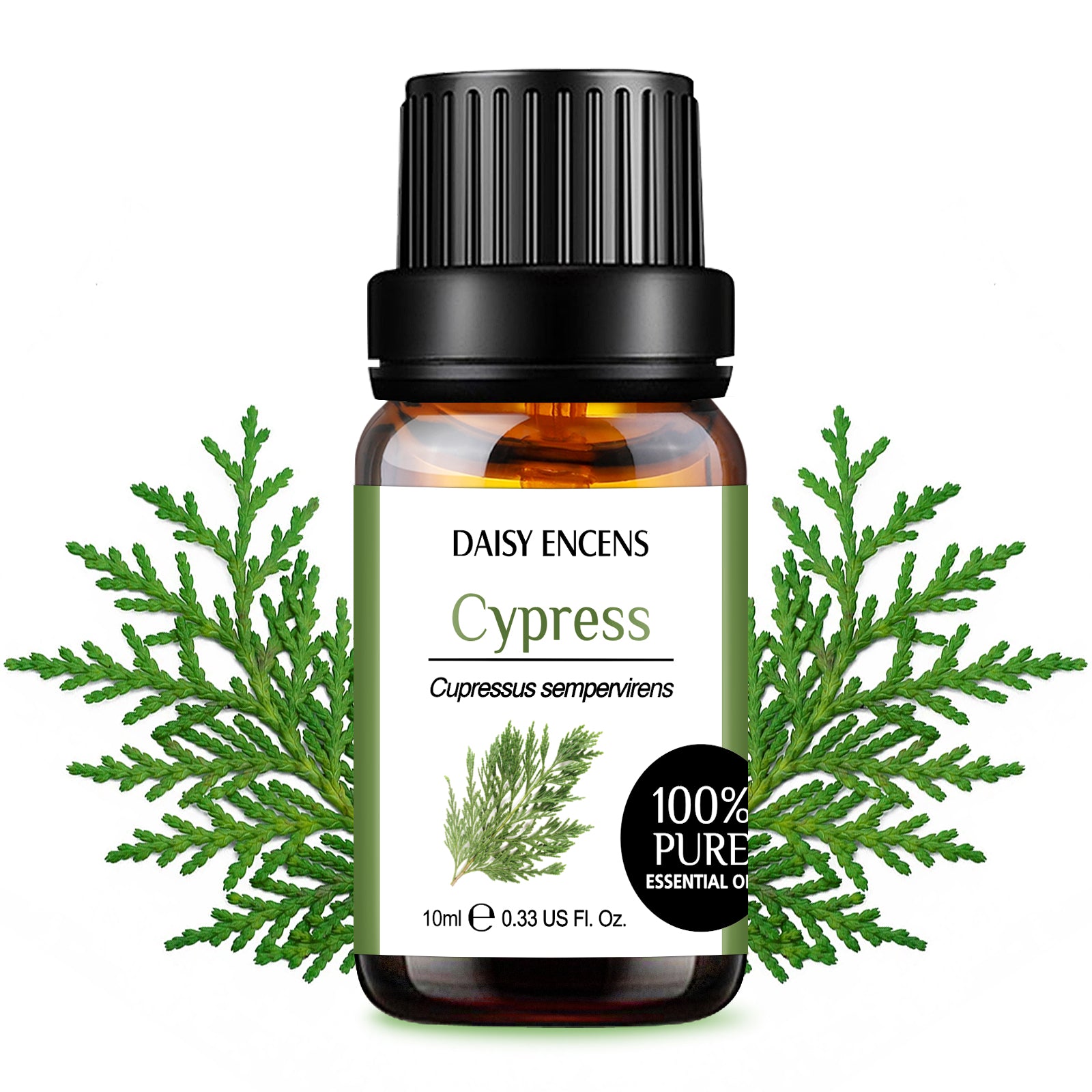 Cypress Pure Essential Oil 10ml