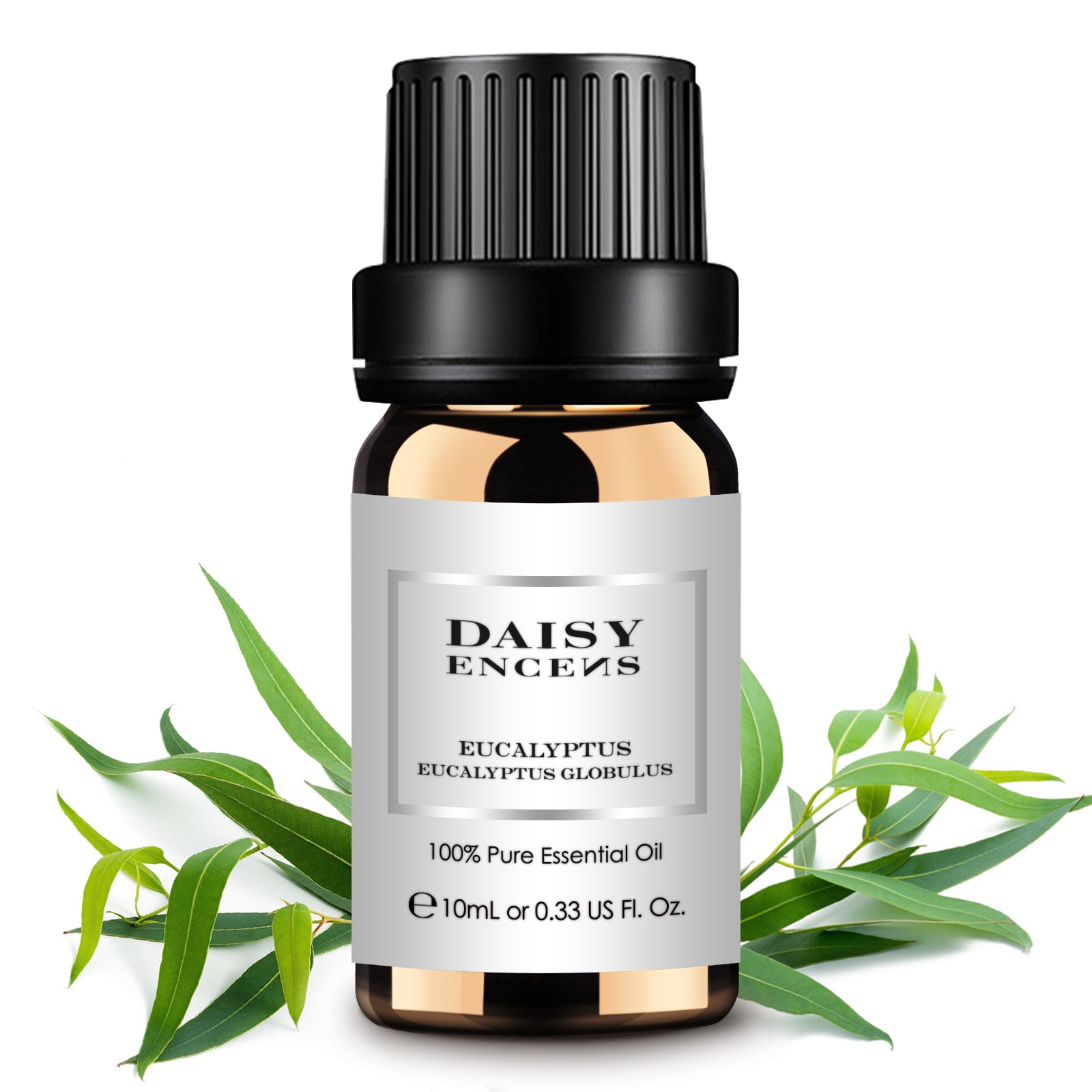 Eucalyptus Pure Essential Oil 10ml